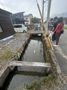 針江の水路